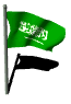saudi_arabia_fw_lw.gif