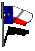 texas_fw_sc.gif