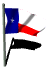 texas_fw_mw.gif
