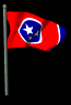 tennessee_fw_lb.gif