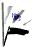 massachusetts_fw_sw.gif
