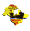 new_brunswick_sw.gif