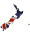 new_zealand_sw.gif