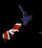 new_zealand_mb.gif