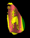 sri_lanka_mb.gif