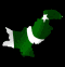 pakistan_mb.gif