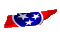 tennessee_mc.gif