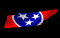 tennessee_mb.gif