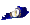 kentucky_sc.gif