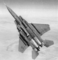 EAGLE09.GIF