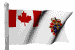 canadian_military_mw.gif
