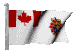 canadian_military_mc.gif