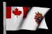 canadian_military_mb.gif