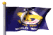 pastflags_wwii_mw.gif