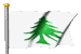 pastflags_pine_tree_h_a_mc.gif