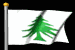 pastflags_pine_tree_h_a_mb.gif