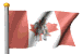pastflags_canadian_pony_mw.gif