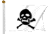 pirate_flag_white_mc.gif