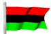 african_american_mw.gif