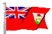 bermuda_mc.gif