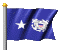 coast_guard_rear_admi_a_mc.gif