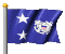 coast_guard_rear_admb_mc.gif