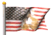 us_indianbrave_mw.gif