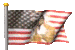 us_indianbrave_mc.gif