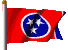 tennessee_mc.gif