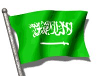 saudi_arabia_lw.gif