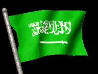 saudi_arabia_lc.gif
