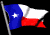 texas_sb.gif