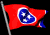 tennessee_sb.gif