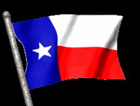 state_texas_mc.gif