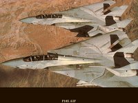 F14S.GIF
