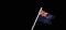 new_zealand_wf_sb.gif