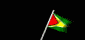 guyana_wf_mb.gif