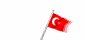 turkey_wf_mw.gif