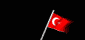 turkey_wf_mb.gif