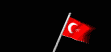 turkey_wf_lb.gif