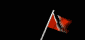 trinidad_and_tobago_wf_mb.gif
