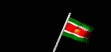 suriname_wf_lb.gif