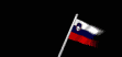 slovenia_wf_lb.gif