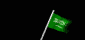 saudi_arabia_wf_mb.gif