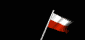 poland_wf_mb.gif