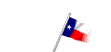 texas_wf_lw.gif