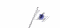 massachusetts_wf_sw.gif