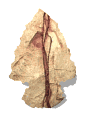 arrowhead_point_up_mw.gif