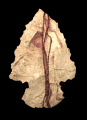 arrowhead_point_up_mb.gif