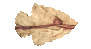 arrowhead_point_right_sc.gif